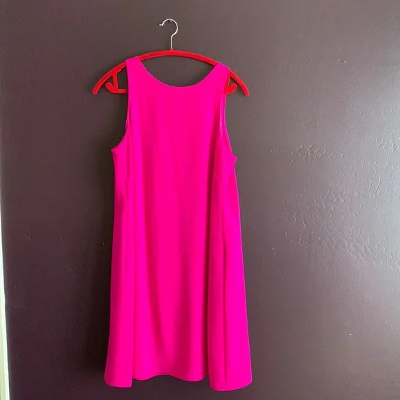 Lauren Ralph Lauren | Dresses | Lauren Hot Pink Dress Only Worn Once For A  Few Hours Super Flattering Style | Poshmark